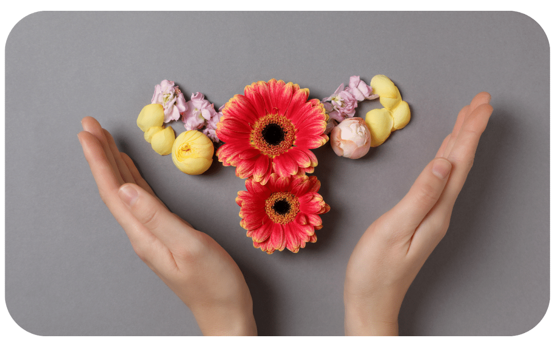 Menopause: A Second Spring