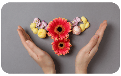 Menopause: A Second Spring
