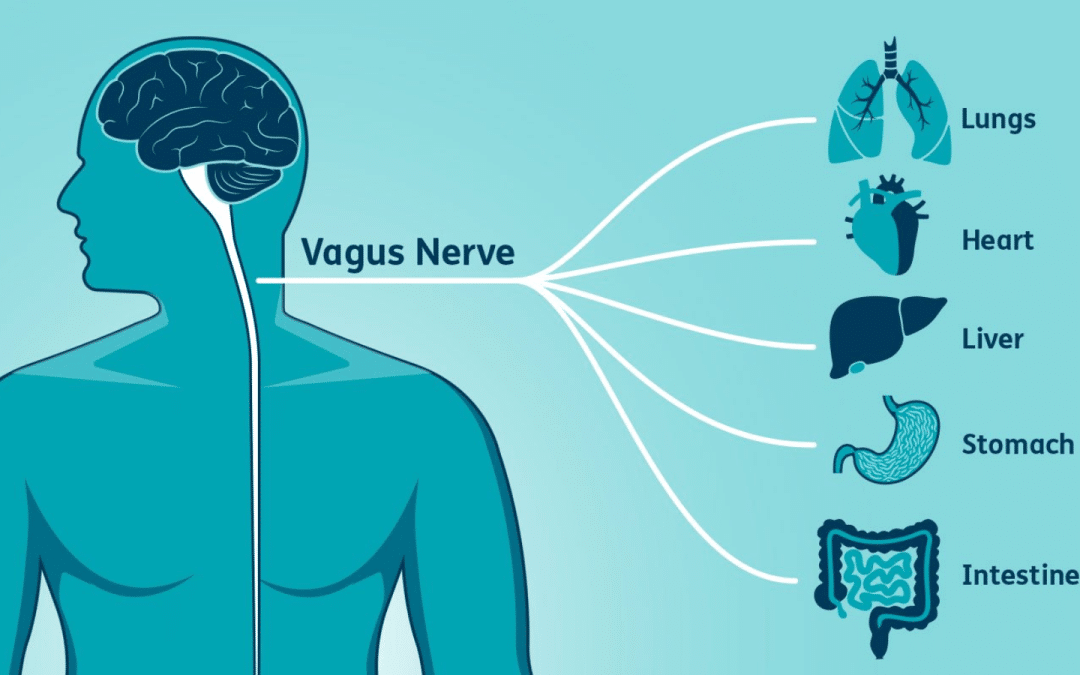 Relax & Restore With Vagal Stim