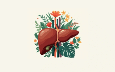 Tips For A Healthy Liver